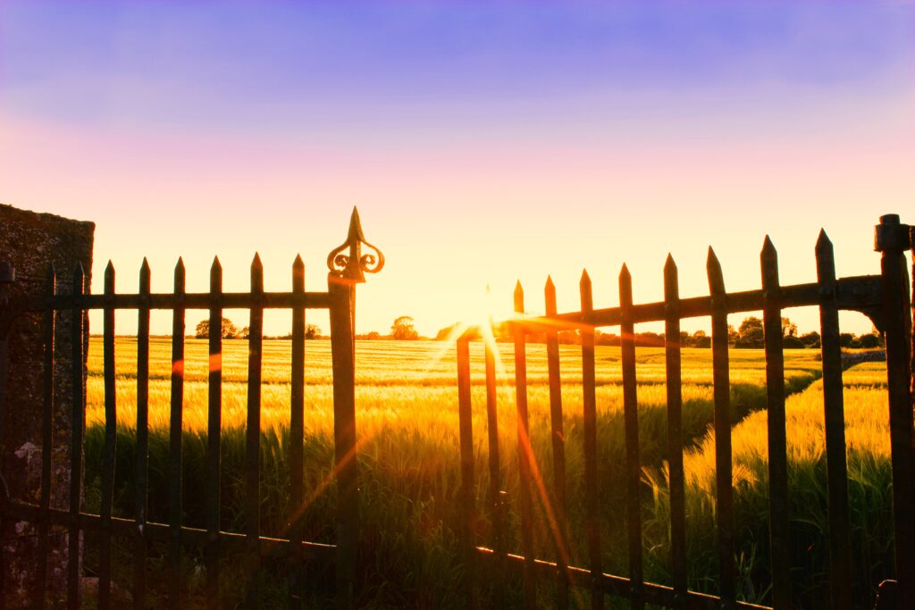 Sunlight through the gate, Privacy Policy, Ayla Alliance, Richmond, VA, End-of-Life Doula, After Loss Professional, Caregiver Support, Grief-Informed Support, photo credit: Dave mcdermott