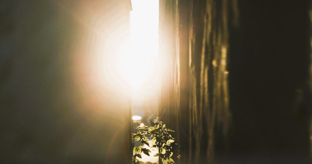 Light trhough a crack, Ayla Alliance, Richmond, VA, Personal Assistant, Project Management, After-Death Support, End-of-Life Doula, Caregiver Support, Life Transition Professional, maxx miller s1zym0s1qky
