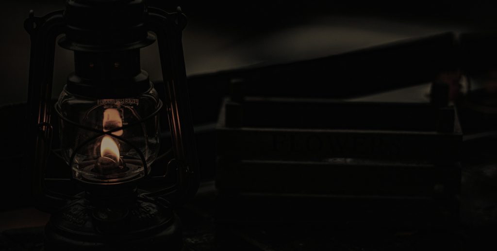 Light in the dark, Ayla Alliance, Richmond, VA, Death Doula, End of Life Doula, Life Transition Services, Professional Support, Grief Informed Organization, photo credit: cedrik wesche